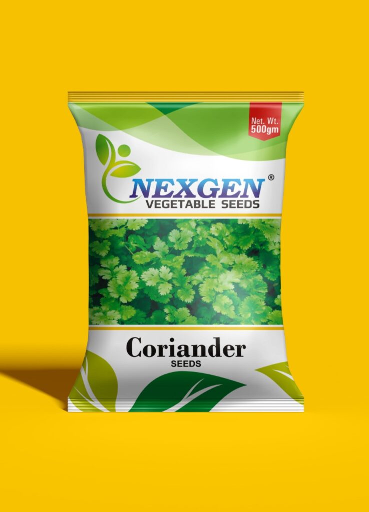 Nexgen's coriander seeds: a reliable choice for abundant yields